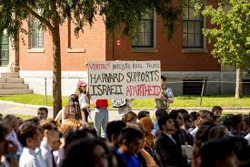 Gay Innocent Re Harvard Student Pro-Palestinian Statement